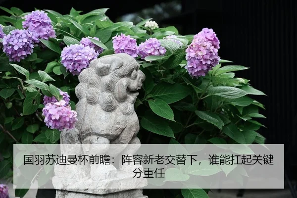 国羽苏迪曼杯前瞻：阵容新老交替下，谁能扛起关键分重任