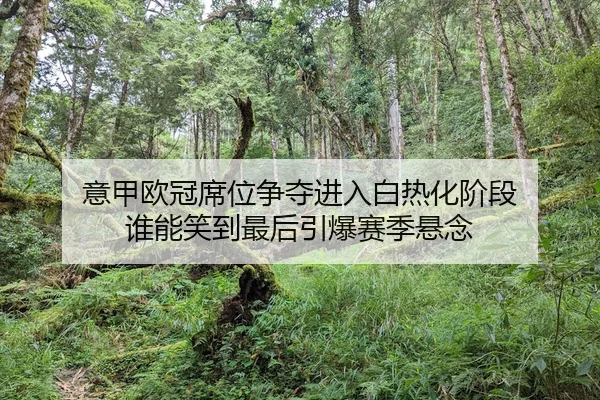 yi-jia-ou-guan-xi-wei-zheng-duo-jin-ru-bai-re-hua-jie-duan-shui-neng-xiao-dao-zui-hou-yin-bao-sai-ji-xuan-nian-2-175.jpg