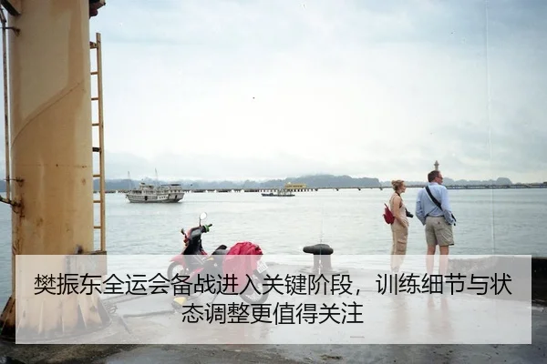 樊振东全运会备战进入关键阶段，训练细节与状态调整更值得关注